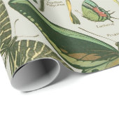 蝶ヴィンテージアンティーク蝶アート ラッピングペーパー (ロールコーナー)