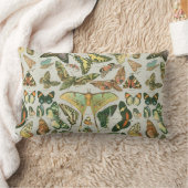 蝶ヴィンテージアンティーク蝶アート ランバークッション (ブランケット)