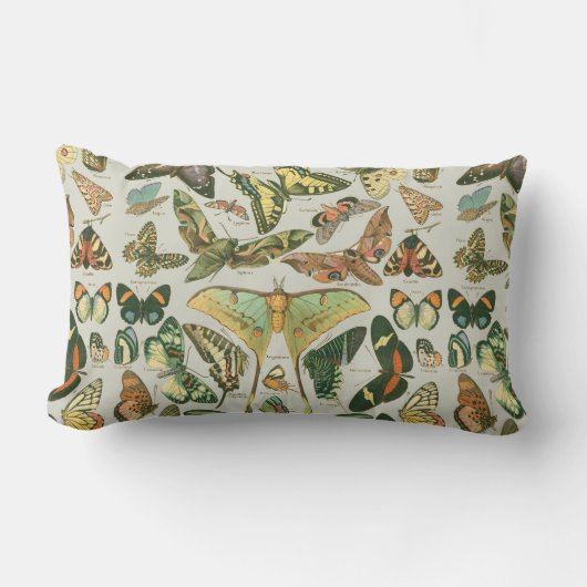 蝶ヴィンテージアンティーク蝶アート ランバークッション (正面)