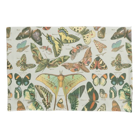 蝶ヴィンテージアンティーク蝶アート 枕カバー (正面)