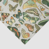 蝶ヴィンテージアンティーク蝶アート 薄葉紙 (詳細)
