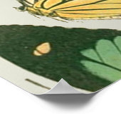 蝶ヴィンテージパター絵画ン蝶 ポスター (角)