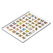 蝶ヴィンテージ葉書ephemera collageシート ノートブック (左側)