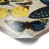 蝶ヴィンテージ1904プリント フォトプリント            (角)