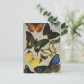 蝶ヴィンテージ1904 ポストカード (スタンド正面)