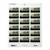 蝶住所 シール (フルシート)