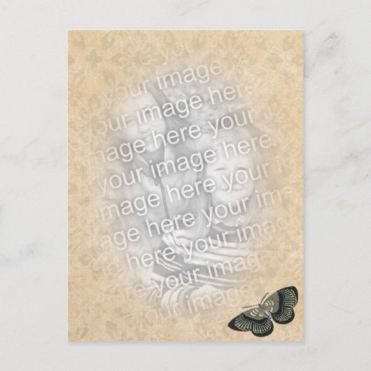 蝶写真テンプレート ポストカード (正面)