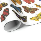 蝶包装紙 ラッピングペーパー (ロールコーナー)