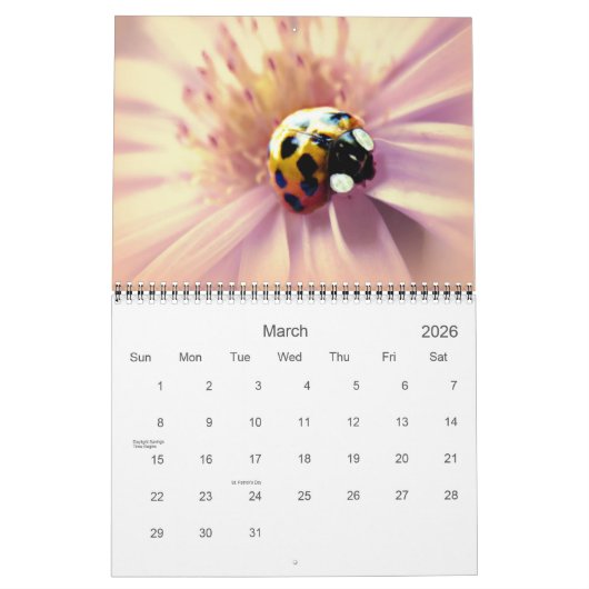 蝶及びてんとう虫の写真撮影のカレンダー カレンダー (3月 2026)