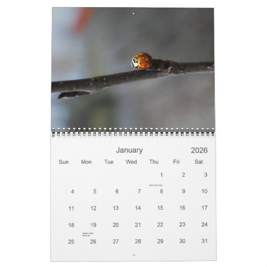 蝶及びてんとう虫の写真撮影のカレンダー カレンダー (1月 2026)