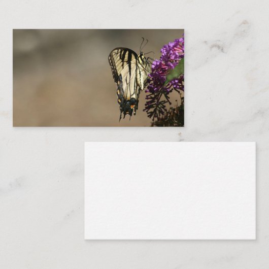 蝶名刺 名刺 (正面/裏面)