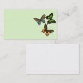 蝶名刺 名刺 (正面/裏面)