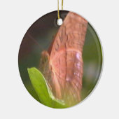 蝶大切 セラミックオーナメント (左)