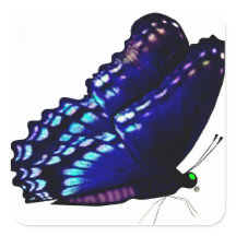 蝶封筒用シール