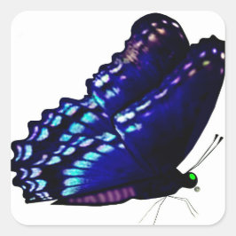 蝶封筒用シール スクエアシール