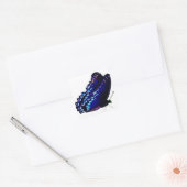 蝶封筒用シール スクエアシール (封筒)