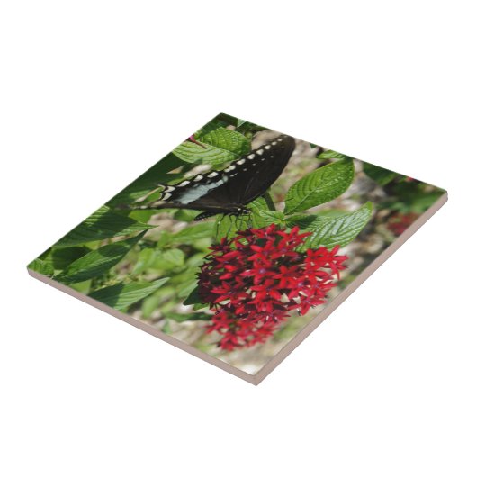 蝶庭 タイル (側面)