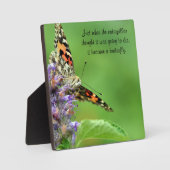 蝶形変態 フォトプラーク (正面)