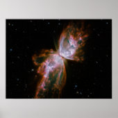 蝶形星雲 ポスター (正面)