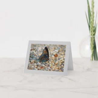 蝶悔やみや弔慰カード カード