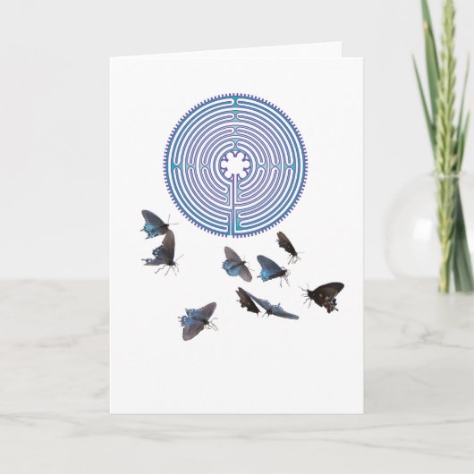 蝶挨拶状が付いている迷路 カード (正面)