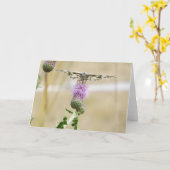 蝶挨拶状 カード (黄色い花)