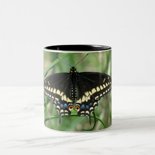 蝶救(彼)黒アゲハチョウマグ ツートーンマグカップ (中央)