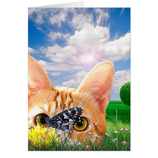 蝶監視人 (正面)