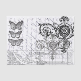 蝶短命なもの 薄葉紙