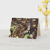 蝶空白のなメッセージカード カード (黄色い花)