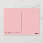 蝶素晴らし葉書 ポストカード (裏面)