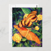 蝶絵を描葉書 ポストカード (正面/裏面)