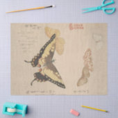 蝶絵画の手巻き群れ俊満 薄葉紙 (クラフト)