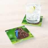 蝶絵画虫 ガラスコースター (アングル)