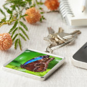 蝶絵画虫 キーホルダー (側面)