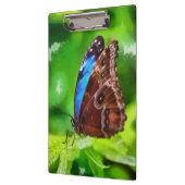 蝶絵画虫 クリップボード (左)