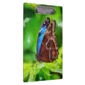 蝶絵画虫 クリップボード (右)