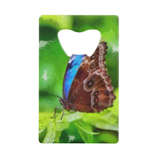 蝶絵画虫 クレジットカード栓抜き (正面)
