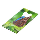 蝶絵画虫 クレジットカード栓抜き (裏面アングル)