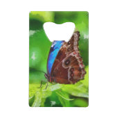 蝶絵画虫 クレジットカード栓抜き (裏面)