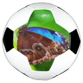 蝶絵画虫 サッカーボール (回転)