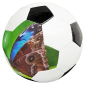 蝶絵画虫 サッカーボール (3/4)