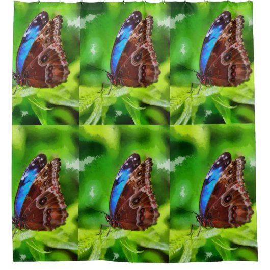 蝶絵画虫 シャワーカーテン (正面)