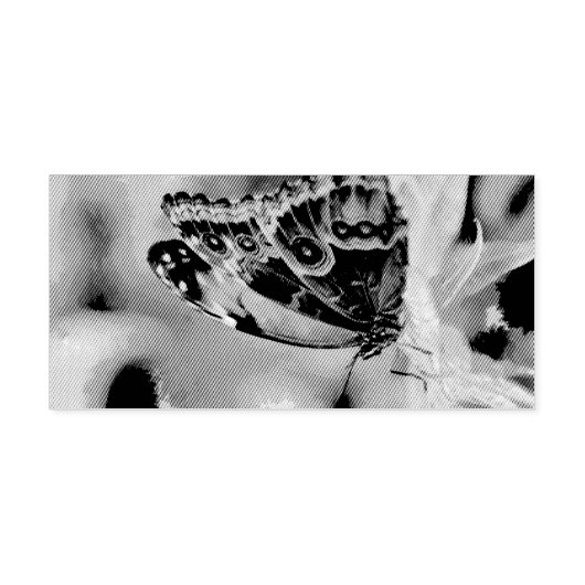 蝶絵画虫 セルフインキングスタンプ (デザイン)