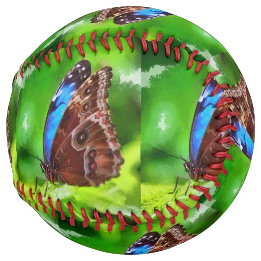 蝶絵画虫 ソフトボール (正面右)