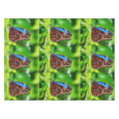 蝶絵画虫 テーブルクロス (正面(横))