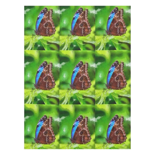 蝶絵画虫 テーブルクロス (正面)