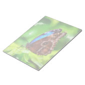 蝶絵画虫 ノートパッド (アングル)