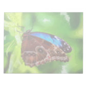 蝶絵画虫 ノートパッド (正面)