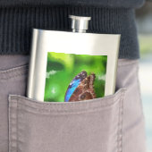 蝶絵画虫 フラスク (インサイチュ)